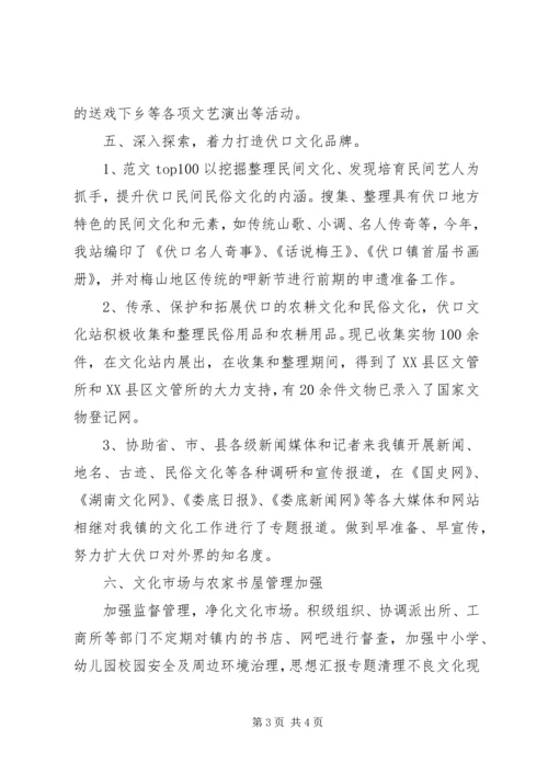 乡镇文化站某年工作总结及某年规划.docx