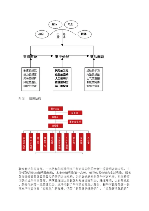 湖南九芝堂股份公司战略方案规划报告六七