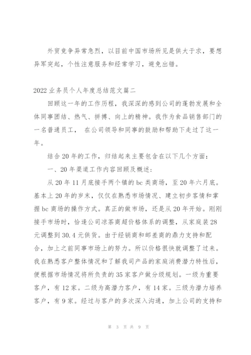 业务员2022年度工作总结范文.docx