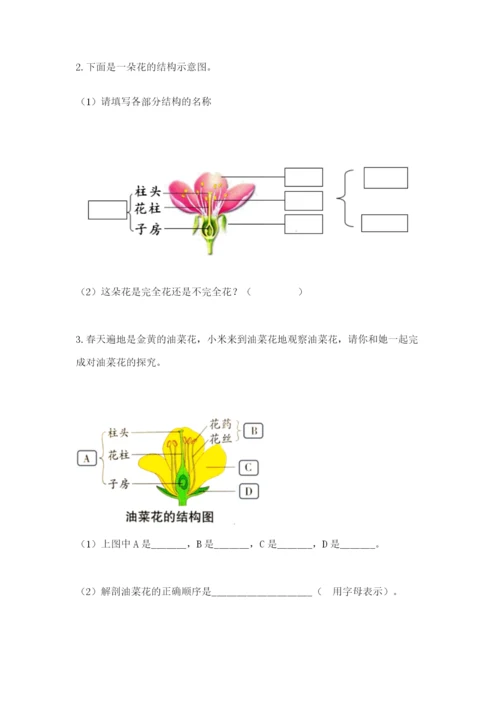 教科版科学四年级下册第一单元《植物的生长变化》测试卷【名师系列】.docx