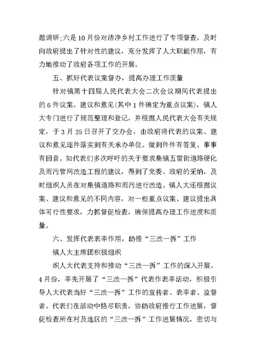 乡镇人大工作总结3000字