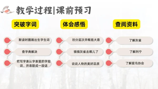 三年级语文上册灰雀说课课件