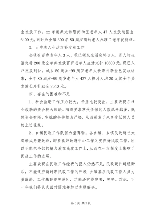 乡镇民政所工作总结.docx