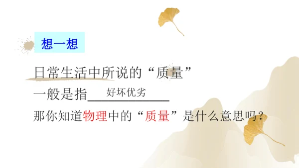 6.1质量（课件）(共29张PPT) -2023-2024学年八年级物理上册同步精品课堂（人教版）