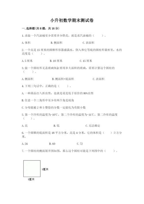 小升初数学期末测试卷精品【巩固】.docx