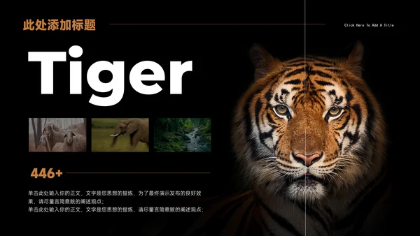 Tiger老虎通用PPT演示模板