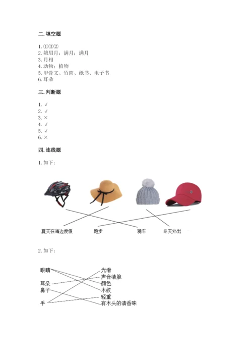 教科版科学二年级上册《期末测试卷》【基础题】.docx