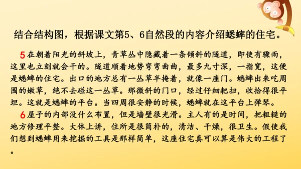 11 蟋蟀的住宅  课件
