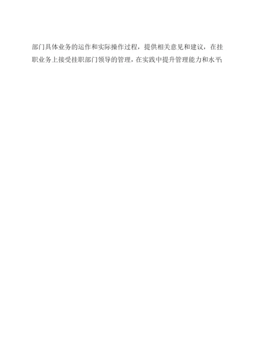 事业单位人员挂帅集体经济公司方案.docx