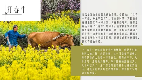 立春简约风二十四节气实践教学课件通用PPT模板