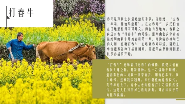 立春简约风二十四节气实践教学课件通用PPT模板