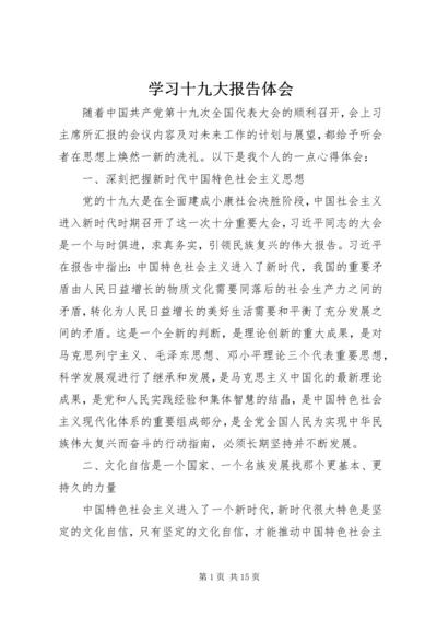 学习十九大报告体会 (2).docx