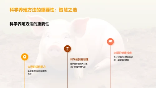 养猪新视角：效率与品质双提升