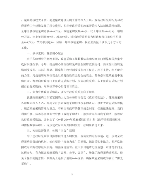 精编之政府年终总结格式范文.docx