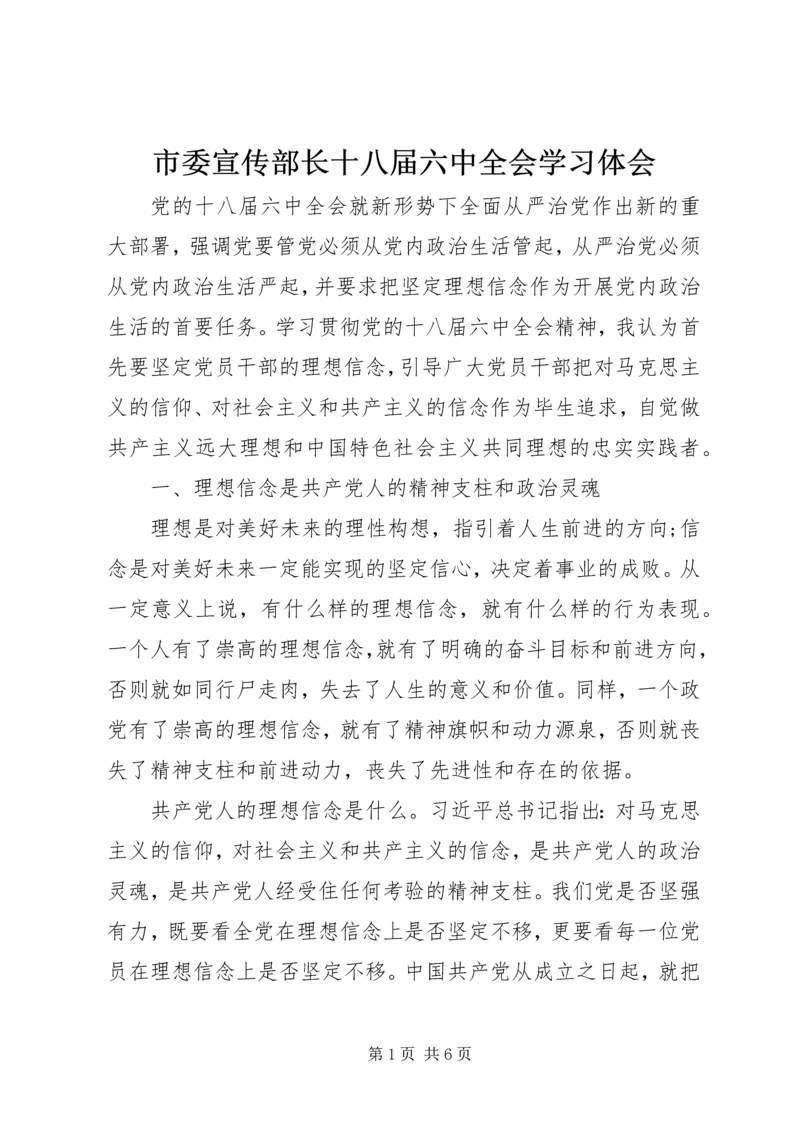 市委宣传部长十八届六中全会学习体会.docx