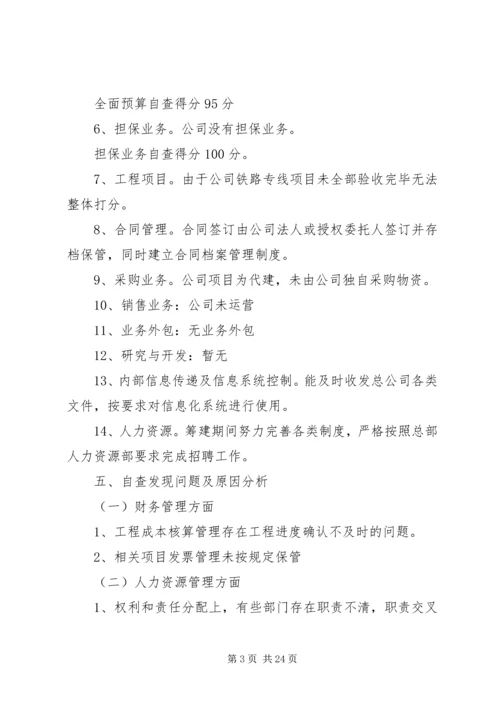 可利公司企业内控自查报告.docx