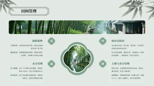 绿色中国风大暑节气介绍通用模板