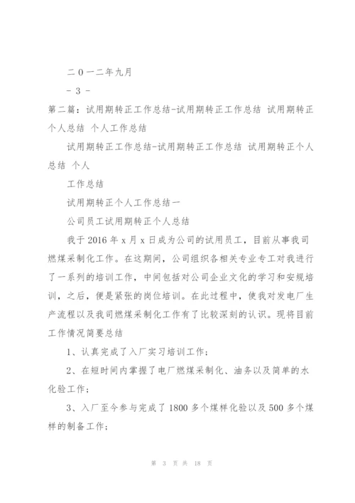 转正个人工作总结.docx