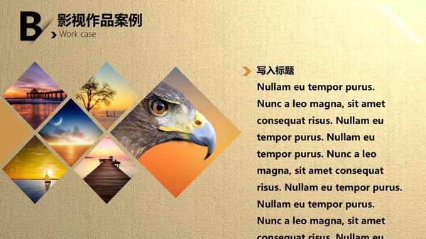 影视行业电影胶卷背景通用PPT模版