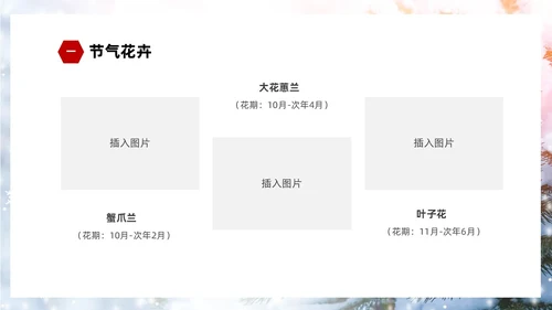 白色简约实拍雪景中国传统节气大雪节气介绍PPT