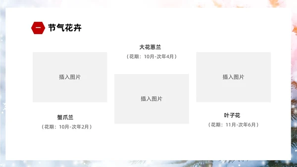 白色简约实拍雪景中国传统节气大雪节气介绍PPT