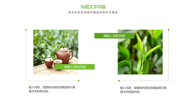 唯美清新绿色茶园茶艺茶文化品茶论道PPT模板