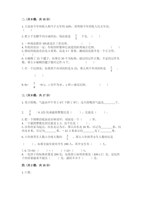 苏教版数学小升初模拟试卷附完整答案【各地真题】.docx