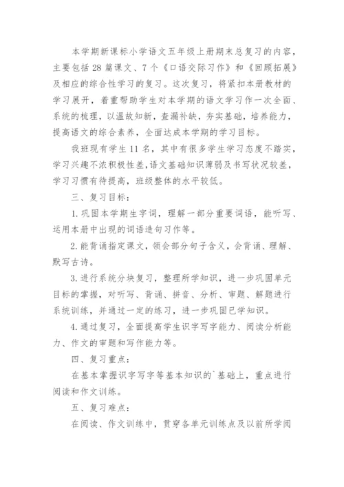 五年级下册语文复习计划.docx