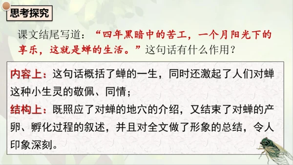21《蝉》课件