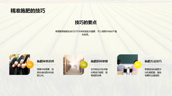 农学实践技能提升