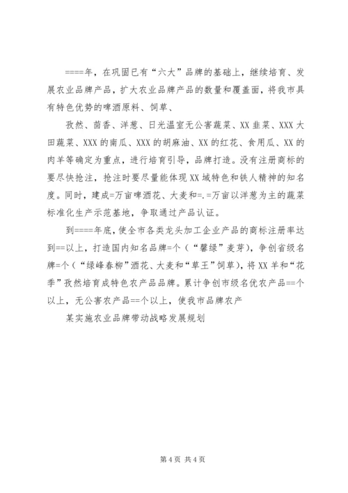 某实施农业品牌带动战略发展规划 (2).docx