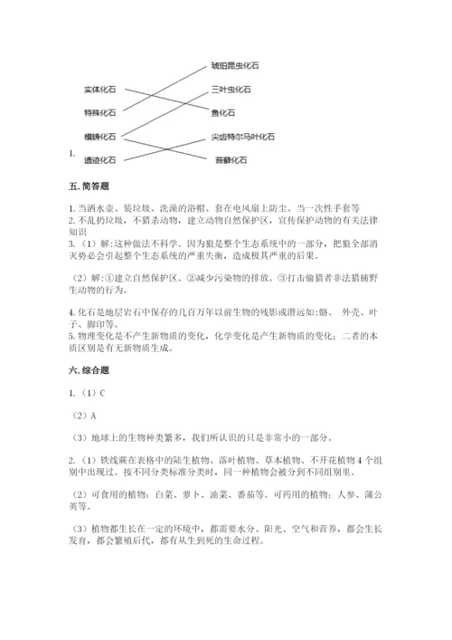 教科版六年级下册科学期末测试卷【基础题】.docx