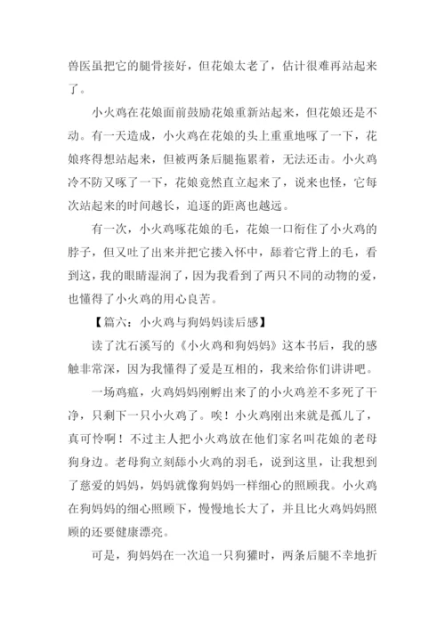 小火鸡与狗妈妈读后感500字.docx