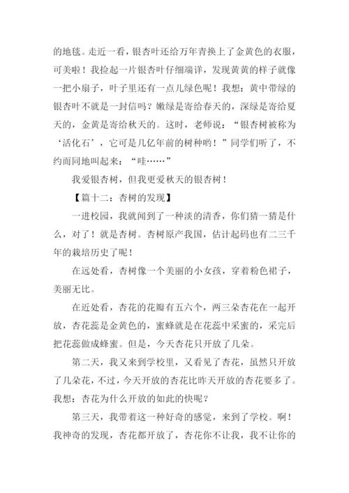 关于杏树的作文300字.docx