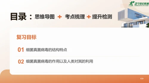 人教版生物八年级上册2.3 细菌、真菌和病毒 本章复习课件(共23张PPT)+视频素材