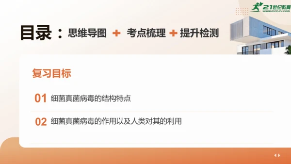 人教版生物八年级上册2.3 细菌、真菌和病毒 本章复习课件(共23张PPT)+视频素材