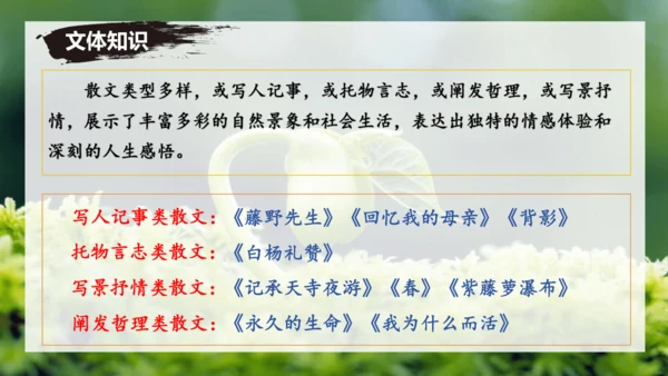 第16课 散文二篇 《永久的生命》课件