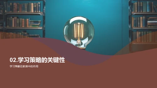 优化学习：教育学策略篇