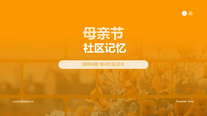 母亲节 社区记忆