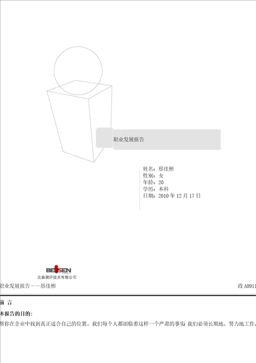 职业发展报告