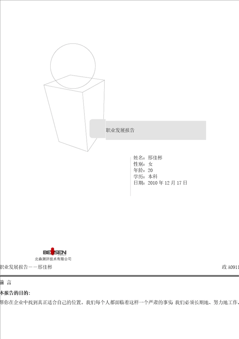 职业发展报告