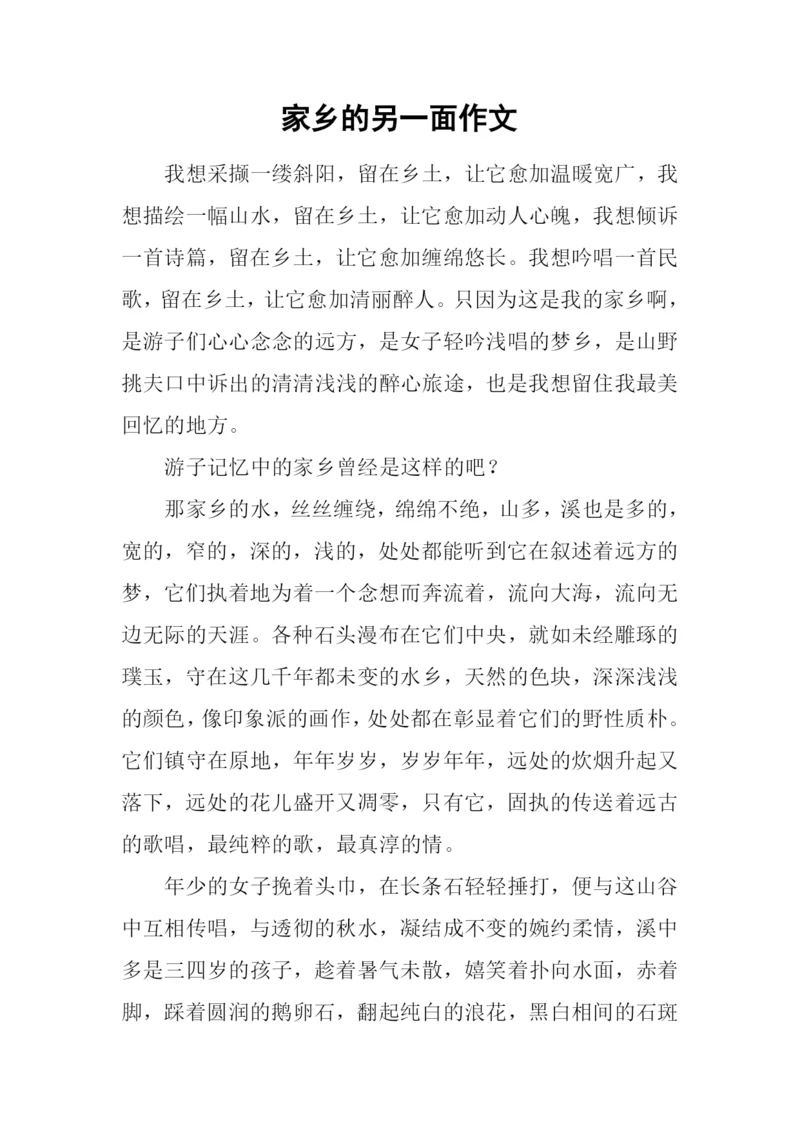 家乡的另一面作文.docx
