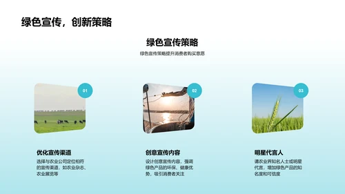 双十二绿营新策