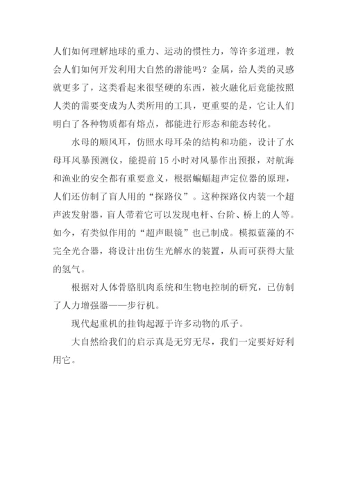 来自大自然的启示作文.docx