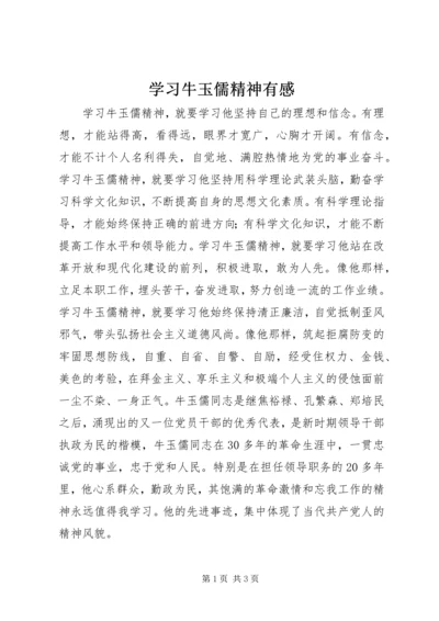 学习牛玉儒精神有感.docx