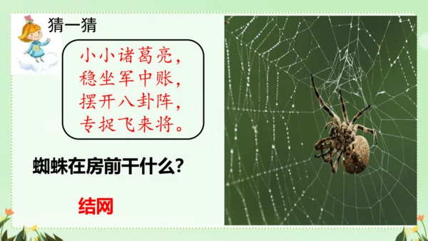 识字（二）5动物儿歌（课件）