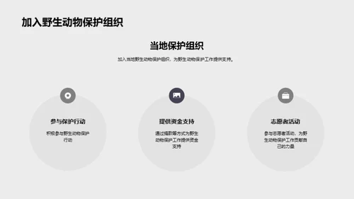 探索非洲野生动物之旅
