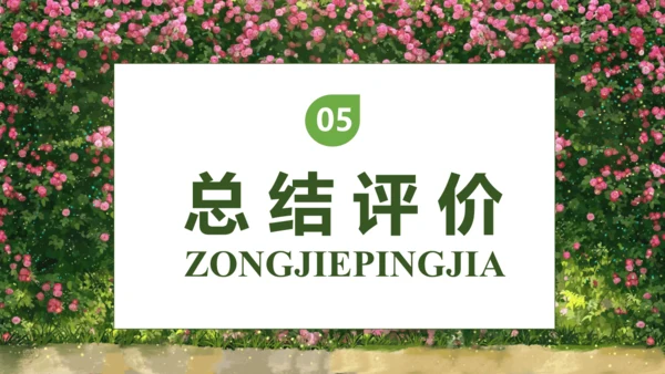 【核心素养】部编版语文三年级下册-13. 花钟 第2课时（课件）
