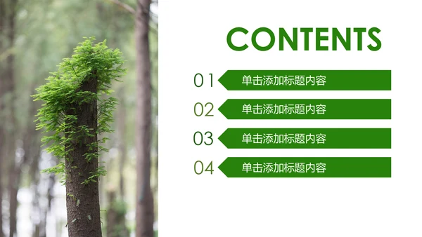 绿色森林植树造林林业木材园动态PPT模板
