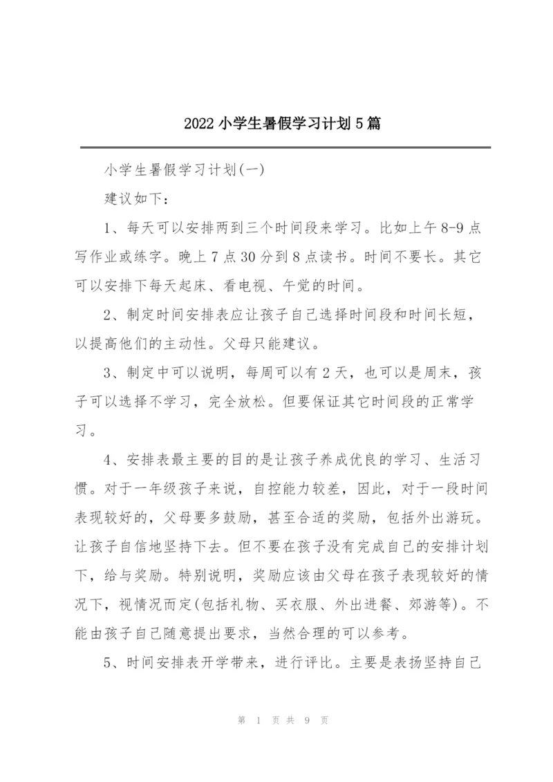 2022小学生暑假学习计划5篇.docx